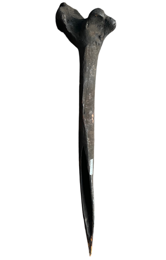 ASMAT Cassowary Dagger