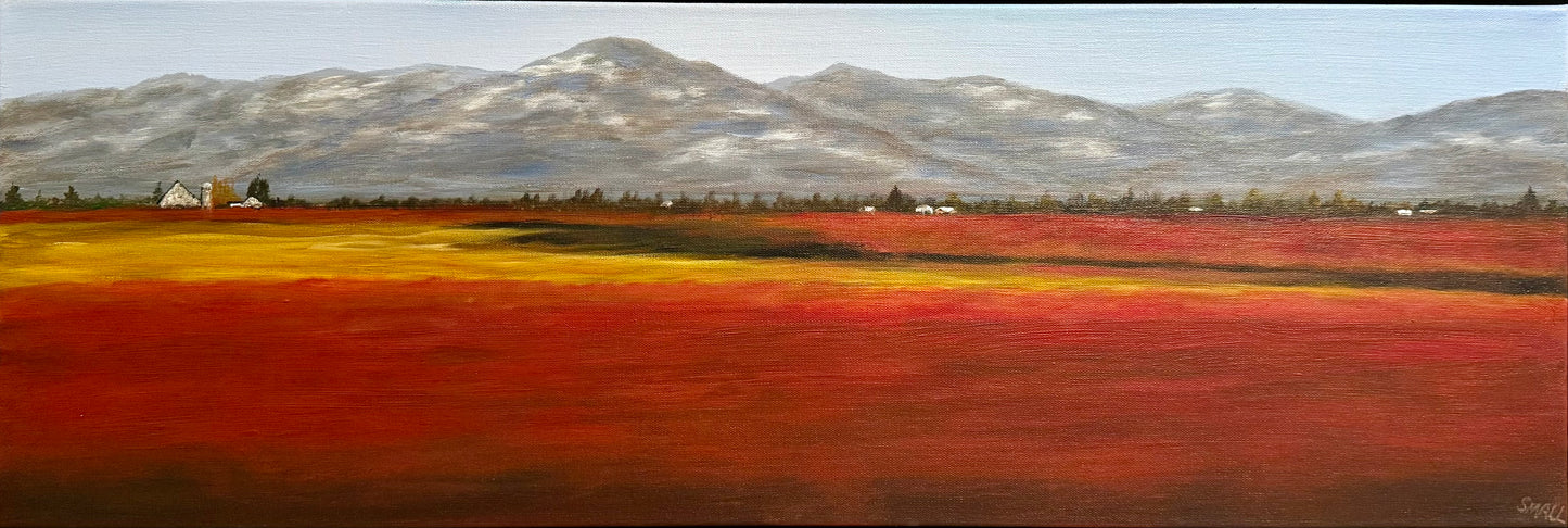 Blueberry Fields Forever by Roger Small