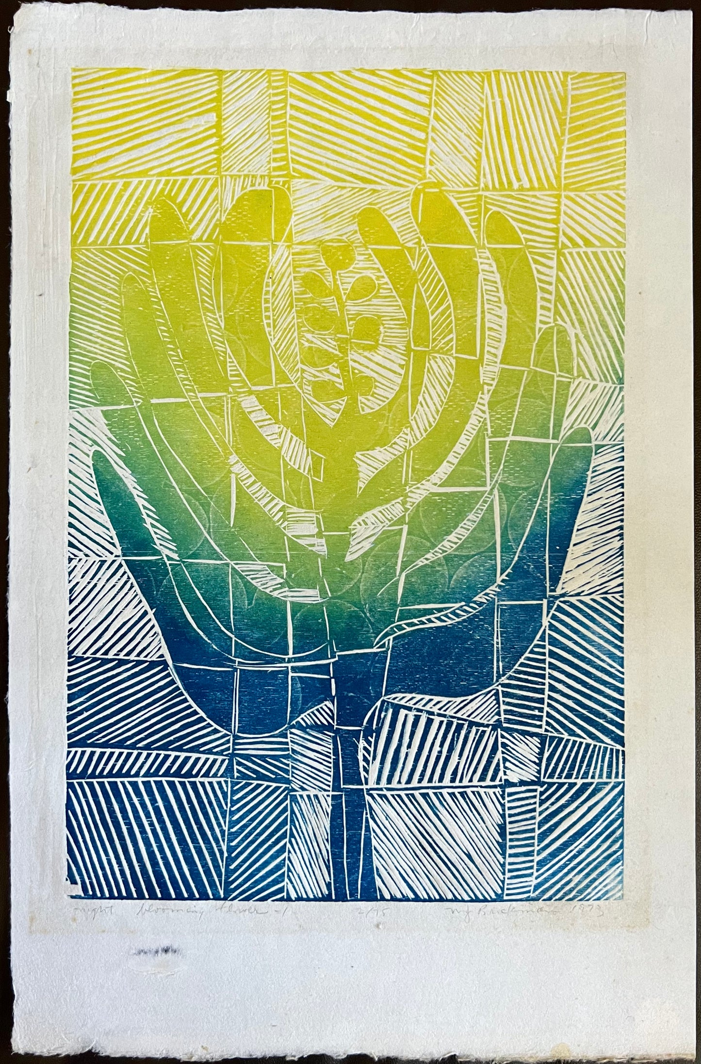 Night Blooming Flower I