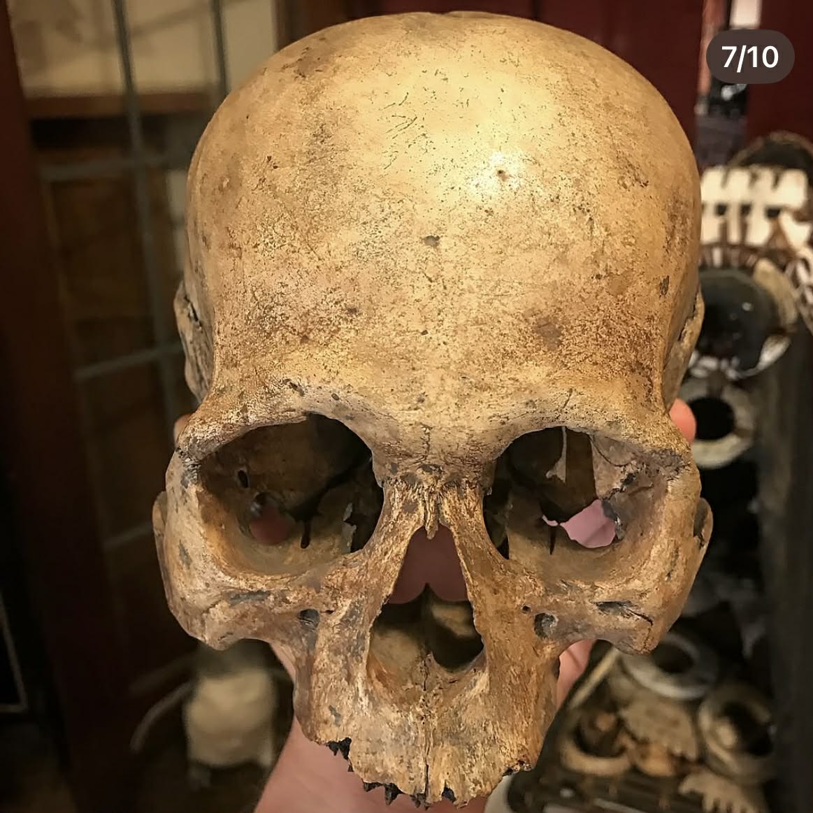 Published Kosa Ancestor Skull Hut