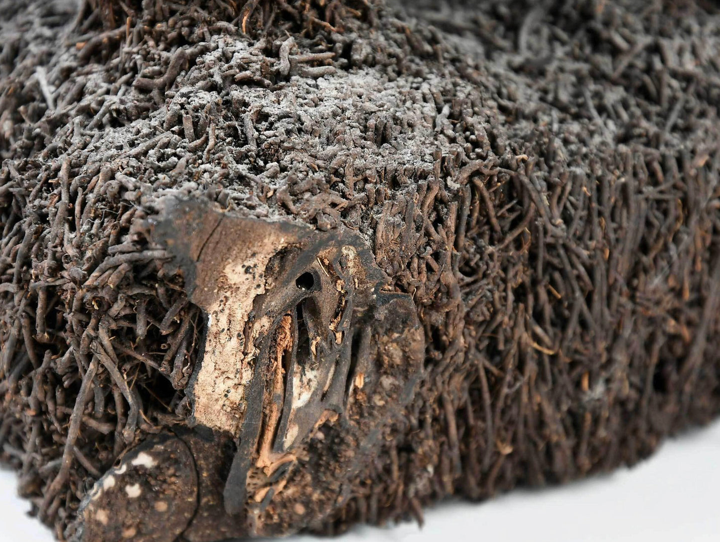 Filipino Fernwood Protective Figure