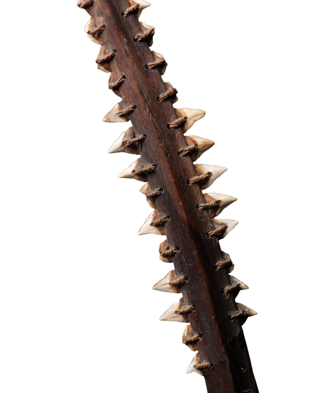 Shark Tooth Dagger, Gilbert Islands