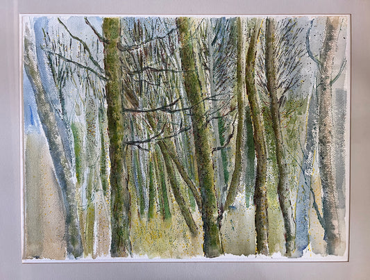 Untitled Tree Study