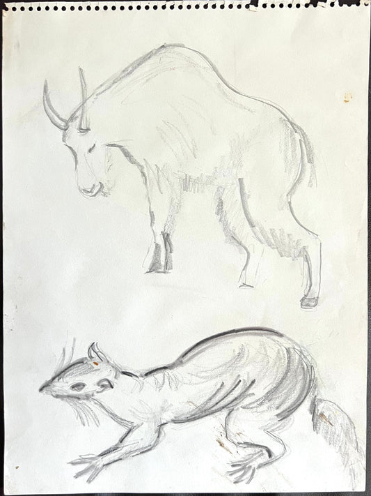 Sketch of Sheep and Squirrel