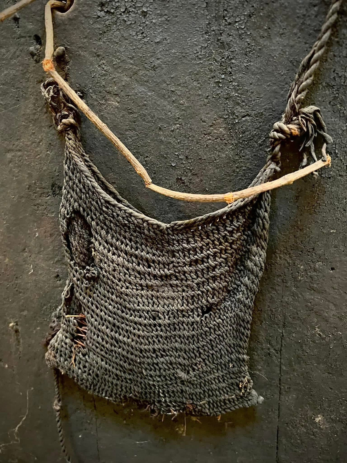 Exceptional Eastern Highland Shield