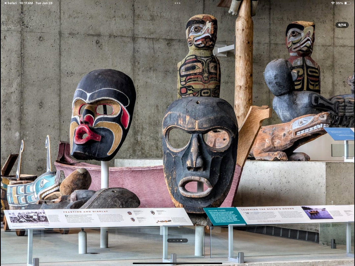 MONUMENTAL  KWAKIUTL DZUNUKWA MASK